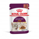 ROYAL CANIN SENSORY Taste Nassfutter in So&szlig;e f&uuml;r w&auml;hlerische Katzen 12x85 g