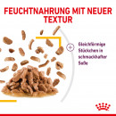 ROYAL CANIN SENSORY Taste Nassfutter in So&szlig;e f&uuml;r w&auml;hlerische Katzen 12x85 g