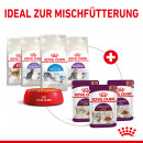 ROYAL CANIN SENSORY Taste Nassfutter in So&szlig;e f&uuml;r w&auml;hlerische Katzen 12x85 g