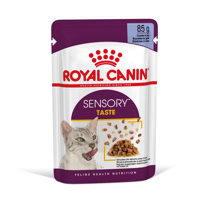 ROYAL CANIN SENSORY Taste Nassfutter in Gelee für wählerische Katzen 12x85 g