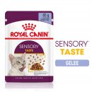 ROYAL CANIN SENSORY Taste Nassfutter in Gelee für wählerische Katzen 12x85 g