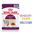 ROYAL CANIN SENSORY Taste Nassfutter in Gelee für...