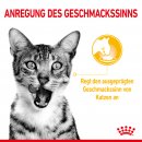 ROYAL CANIN SENSORY Taste Nassfutter in Gelee f&uuml;r w&auml;hlerische Katzen 12x85 g