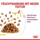 ROYAL CANIN SENSORY Taste Nassfutter in Gelee f&uuml;r w&auml;hlerische Katzen 12x85 g