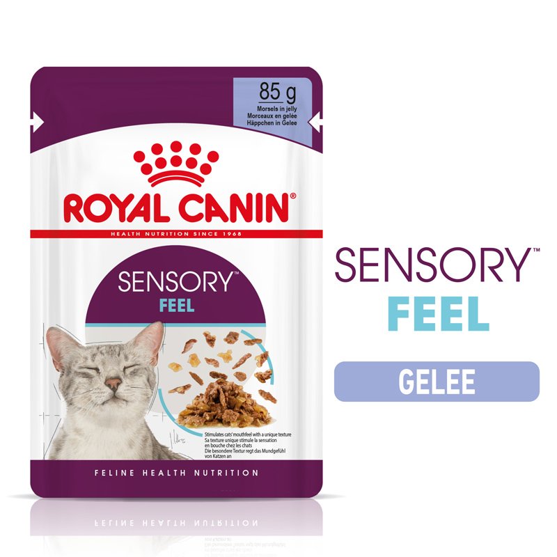 ROYAL CANIN SENSORY Feel Nassfutter in Soße für wählerische Katzen 12x85 g
