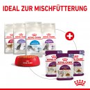 ROYAL CANIN SENSORY Feel Nassfutter in So&szlig;e f&uuml;r w&auml;hlerische Katzen 12x85 g