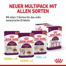 ROYAL CANIN SENSORY Smell Taste Feel Nassfutter Multipack in So&szlig;e f&uuml;r w&auml;hlerische Katzen 12x85 g