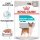 ROYAL CANIN Urinary Care Nassfutter für Hunde mit empfindlichen Harnwegen 12x85 g
