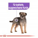 ROYAL CANIN STERILISED Nassfutter f&uuml;r kastrierte Hunde 12x85 g