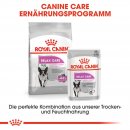 ROYAL CANIN RELAX CARE Nassfutter für Hunde in unruhigem Umfeld 12x85 g