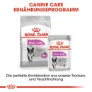 ROYAL CANIN RELAX CARE Nassfutter f&uuml;r Hunde in unruhigem Umfeld 12x85 g