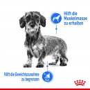 ROYAL CANIN LIGHT WEIGHT CARE Nassfutter für Hunde mit Neigung zu Übergewicht 12x85 g