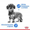 ROYAL CANIN LIGHT WEIGHT CARE Nassfutter f&uuml;r Hunde mit Neigung zu &Uuml;bergewicht 12x85 g