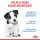 ROYAL CANIN MINI Puppy Trockenfutter für Welpen kleiner Hunderassen 8 Kg