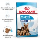 ROYAL CANIN MAXI Starter f&uuml;r tragende H&uuml;ndin und Welpen gro&szlig;er Rassen 15 Kg