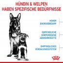 ROYAL CANIN MAXI Starter f&uuml;r tragende H&uuml;ndin und Welpen gro&szlig;er Rassen 15 Kg