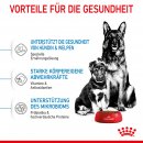 ROYAL CANIN MAXI Starter f&uuml;r tragende H&uuml;ndin und Welpen gro&szlig;er Rassen 15 Kg