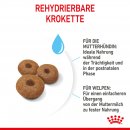 ROYAL CANIN MAXI Starter f&uuml;r tragende H&uuml;ndin und Welpen gro&szlig;er Rassen 15 Kg