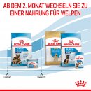 ROYAL CANIN MAXI Starter f&uuml;r tragende H&uuml;ndin und Welpen gro&szlig;er Rassen 15 Kg