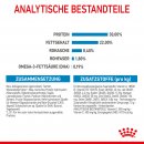 ROYAL CANIN MAXI Starter f&uuml;r tragende H&uuml;ndin und Welpen gro&szlig;er Rassen 15 Kg