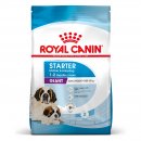 ROYAL CANIN GIANT Starter f&uuml;r tragende H&uuml;ndin und Welpen sehr gro&szlig;er Rassen 15 Kg