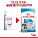 ROYAL CANIN GIANT Starter f&uuml;r tragende H&uuml;ndin und Welpen sehr gro&szlig;er Rassen 15 Kg