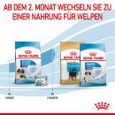 ROYAL CANIN GIANT Starter f&uuml;r tragende H&uuml;ndin und Welpen sehr gro&szlig;er Rassen 15 Kg