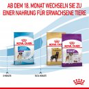 ROYAL CANIN GIANT Junior Trockenfutter f&uuml;r sehr gro&szlig;e Hunde 15 Kg