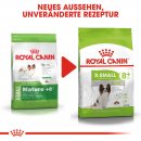 ROYAL CANIN X-SMALL Adult 8+ Trockenfutter f&uuml;r &auml;ltere sehr kleine Hunde 3 Kg