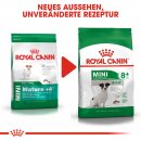 ROYAL CANIN MINI Adult 8+ Trockenfutter f&uuml;r &auml;ltere kleine Hunde 2 Kg