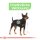 ROYAL CANIN DIGESTIVE CARE Nassfutter für Hunde mit empfindlicher Verdauung 12x85 g