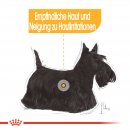 ROYAL CANIN DERMACOMFORT Nassfutter f&uuml;r Hunde mit empfindlicher Haut 12x85 g