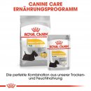 ROYAL CANIN DERMACOMFORT Nassfutter f&uuml;r Hunde mit empfindlicher Haut 12x85 g