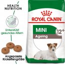 ROYAL CANIN MINI Ageing 12+ Trockenfutter f&uuml;r &auml;ltere kleine Hunde 3,5 Kg