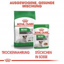 ROYAL CANIN MINI Ageing 12+ Trockenfutter f&uuml;r &auml;ltere kleine Hunde 3,5 Kg