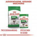 ROYAL CANIN MINI Ageing 12+ Trockenfutter f&uuml;r &auml;ltere kleine Hunde 3,5 Kg