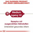 ROYAL CANIN MEDIUM Ageing 10+ Trockenfutter f&uuml;r &auml;ltere mittelgro&szlig;e Hunde 15 Kg