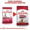 ROYAL CANIN MEDIUM Ageing 10+ Trockenfutter f&uuml;r &auml;ltere mittelgro&szlig;e Hunde 15 Kg