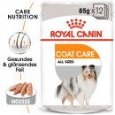 ROYAL CANIN COAT CARE Nassfutter f&uuml;r gl&auml;nzendes Fell 12x85 g