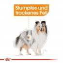 ROYAL CANIN COAT CARE Nassfutter f&uuml;r gl&auml;nzendes Fell 12x85 g