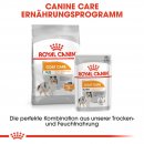 ROYAL CANIN COAT CARE Nassfutter f&uuml;r gl&auml;nzendes Fell 12x85 g