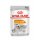 ROYAL CANIN COAT CARE Nassfutter für glänzendes Fell 12x85 g