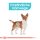 ROYAL CANIN Urinary Care MINI Trockenfutter für kleine Hunde mit empfindlichen Harnwegen 3 Kg