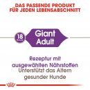 ROYAL CANIN GIANT Adult Trockenfutter f&uuml;r sehr gro&szlig;e Hunde 15 Kg