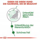ROYAL CANIN MINI AGEING 12+ Nassfutter f&uuml;r &auml;ltere kleine Hunde 12x85 g