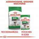 ROYAL CANIN MINI AGEING 12+ Nassfutter f&uuml;r &auml;ltere kleine Hunde 12x85 g