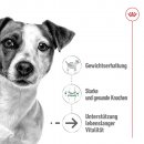 ROYAL CANIN MINI AGEING 8+ Nassfutter f&uuml;r &auml;ltere kleine Hunde 12x85 g