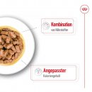 ROYAL CANIN MINI AGEING 8+ Nassfutter f&uuml;r &auml;ltere kleine Hunde 12x85 g