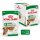 ROYAL CANIN MINI AGEING 8+ Nassfutter für ältere kleine Hunde 12x85 g