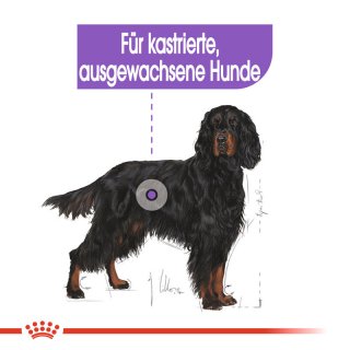 Rucksack Neu von Royal Canin mit Trinkflasche in Bayern - Lutzingen